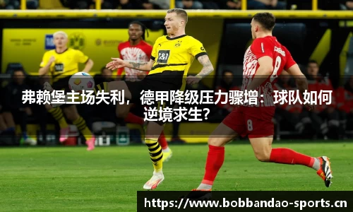 bob半岛体育官方网站