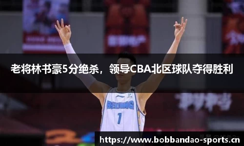 老将林书豪5分绝杀，领导CBA北区球队夺得胜利