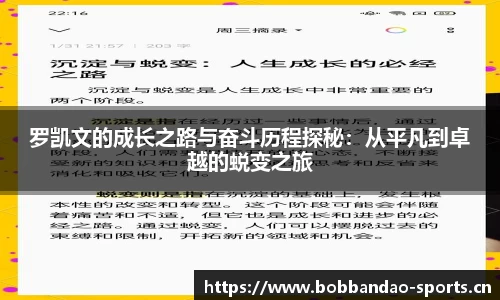 bob半岛体育平台