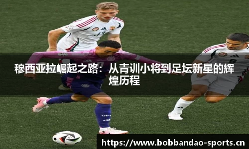 bob半岛体育平台